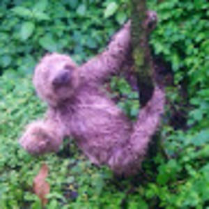 Meet your Posher, Darlene